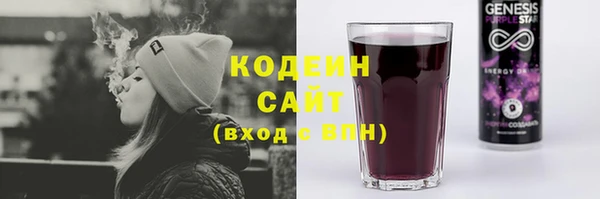 крисы Горняк